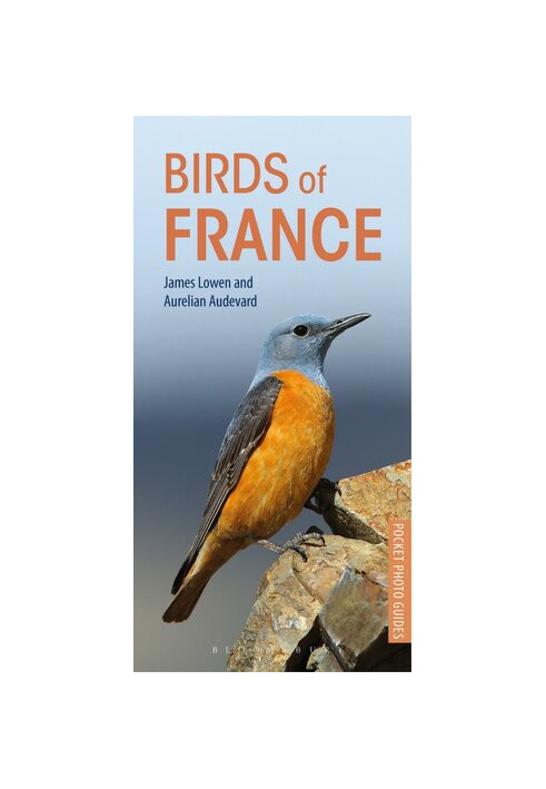 Birds of France