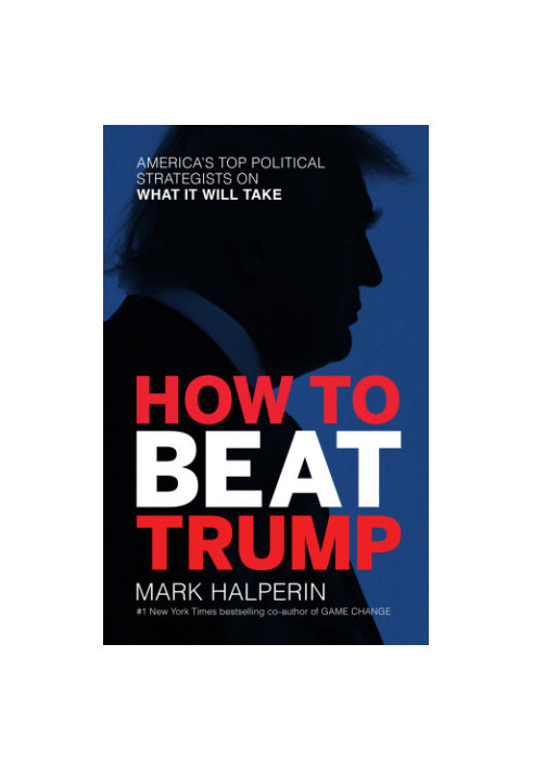How to beat Trump: America's top political strategists on what it will take