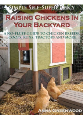 Raising chickens in your backyard: a no-fluff guide to chicken breeds, coops, runs, tractors and more