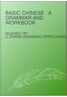 Basic Chinese : a grammar and workbook