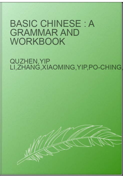 Basic Chinese : a grammar and workbook
