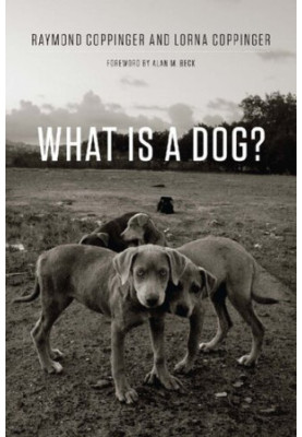 What Is a Dog?