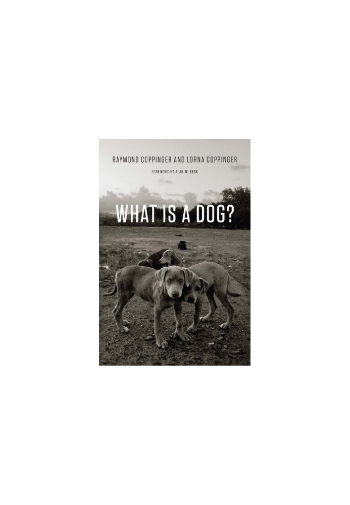 What Is a Dog?