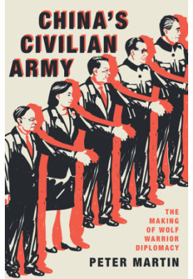 China's Civilian Army (2021)