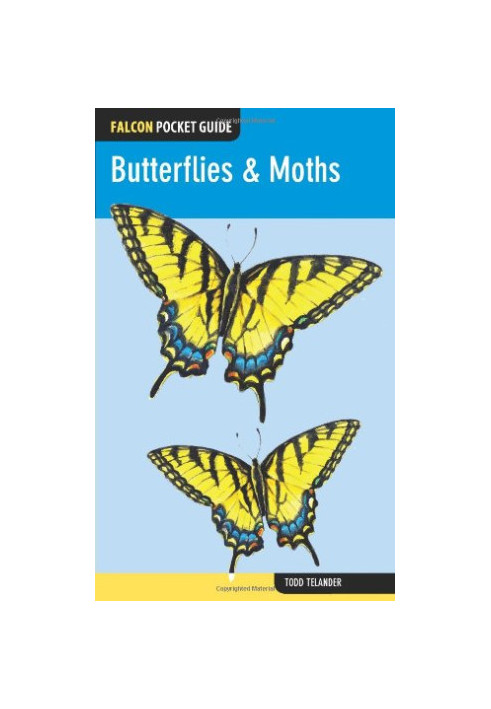Falcon Pocket Guide: Butterflies & Moths