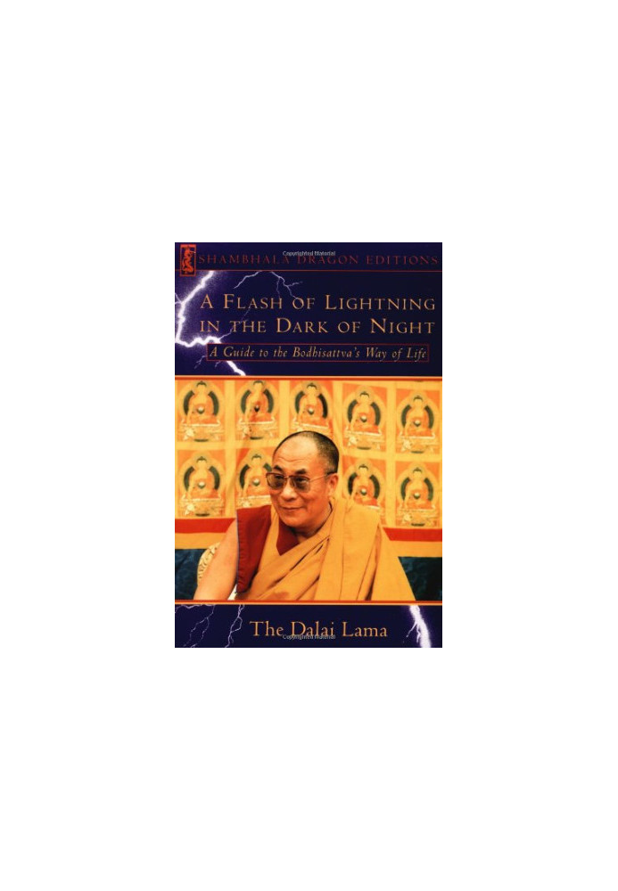 A Flash of Lightning in the Dark of Night: A Guide to the Bodhisattva's Way of Life