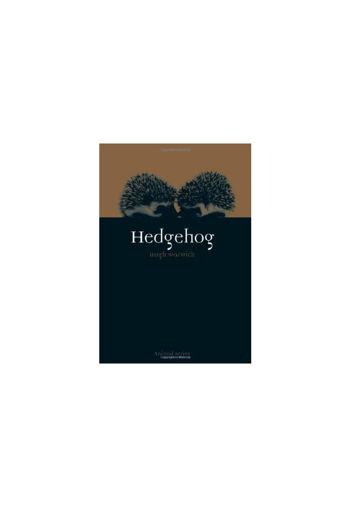 Hedgehog
