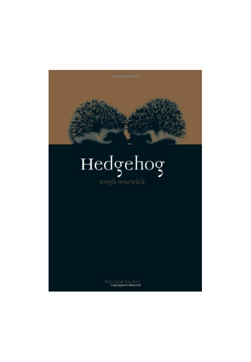 Hedgehog