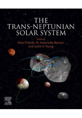 The Trans-Neptunian Solar System