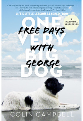Free Days with George