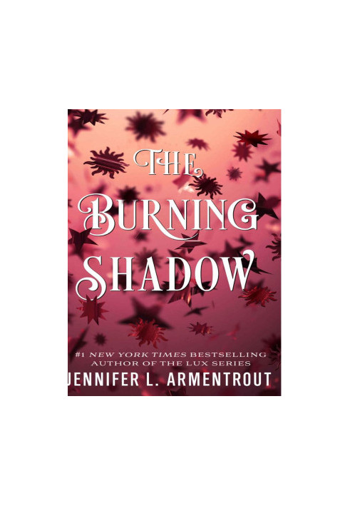 02. The Burning Shadow