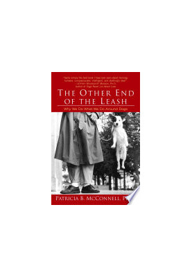 The Other End of the Leash