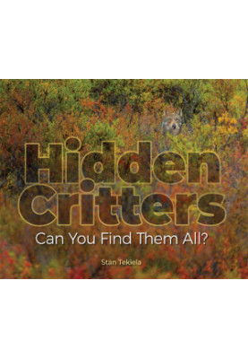 Hidden Critters: Can You Find Them All