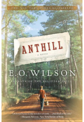 Anthill