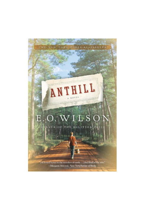 Anthill
