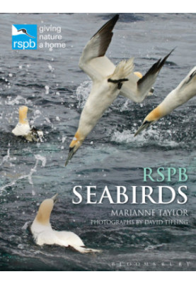 RSPB Seabirds