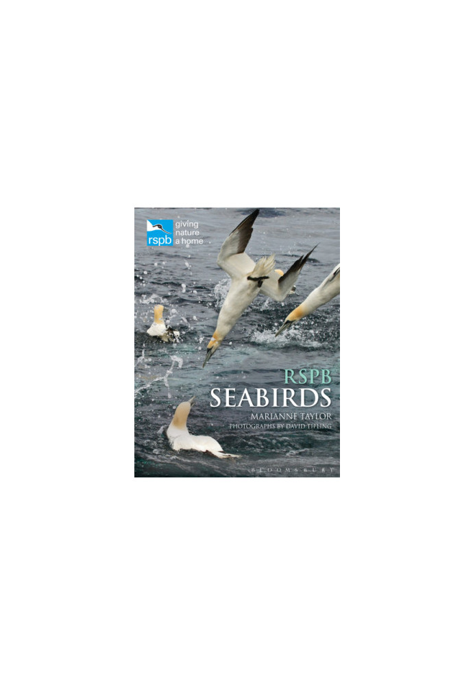 RSPB Seabirds