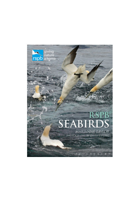 RSPB Seabirds