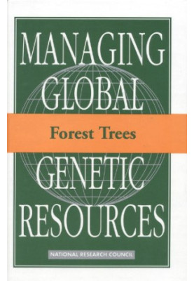 Forest Trees