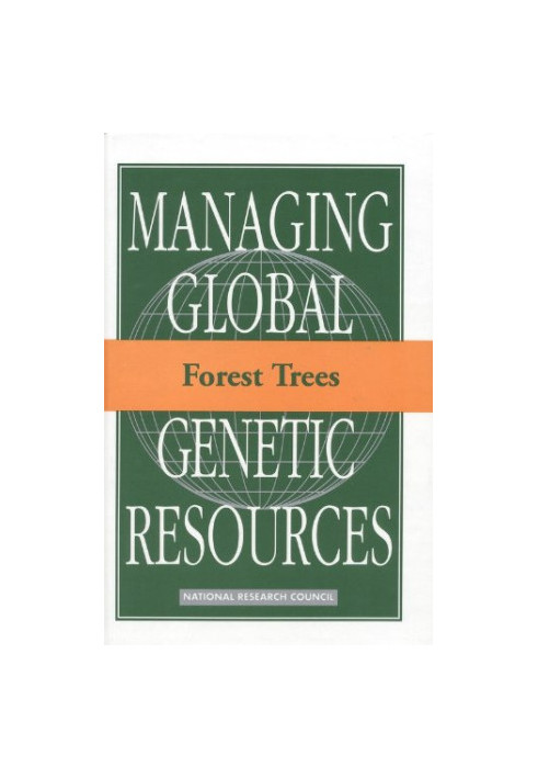 Forest Trees
