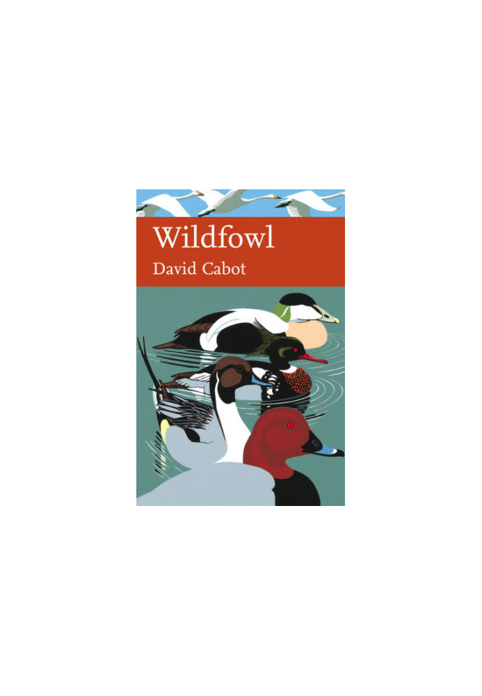 Wildfowl
