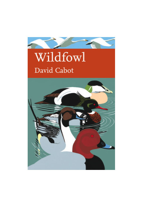 Wildfowl