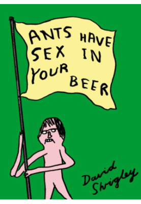Ants Have Sex In Your Beer