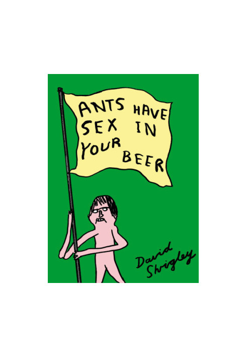 Ants Have Sex In Your Beer