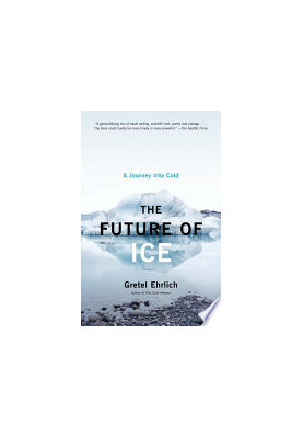 The Future of Ice: A Journey Into Cold