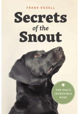 Secrets of the Snout: The Dog’s Incredible Nose