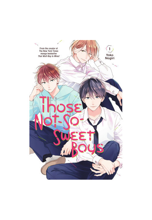Those Not-So-Sweet Boys, Volume 1