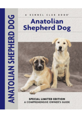 Anatolian Shepherd Dog