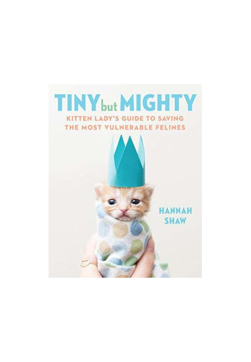 Tiny But Mighty: Kitten Lady’s Guide to Saving the Most Vulnerable Felines