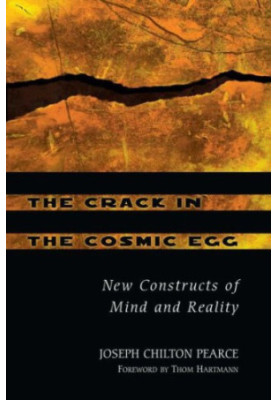The crack in the cosmic egg: challenging constructs of mind & reality