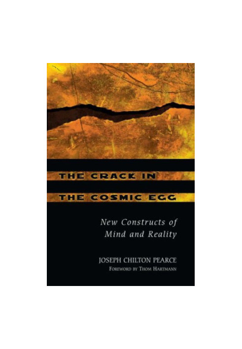 The crack in the cosmic egg: challenging constructs of mind & reality