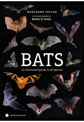 Bats: An Illustrated Guide to All Species