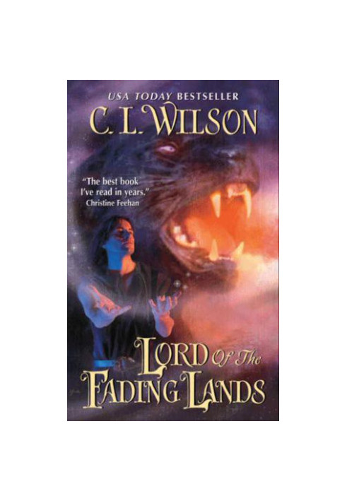 Lord of the Fading Lands