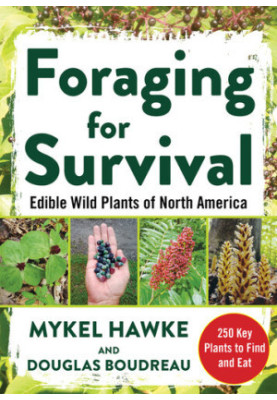 Foraging for Survival
