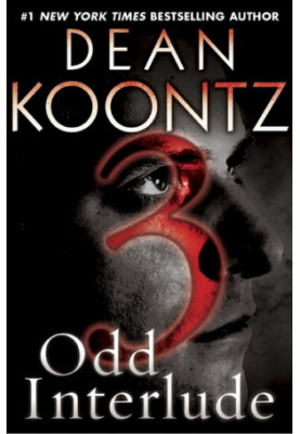 Odd Interlude 3 (An Odd Thomas Story)