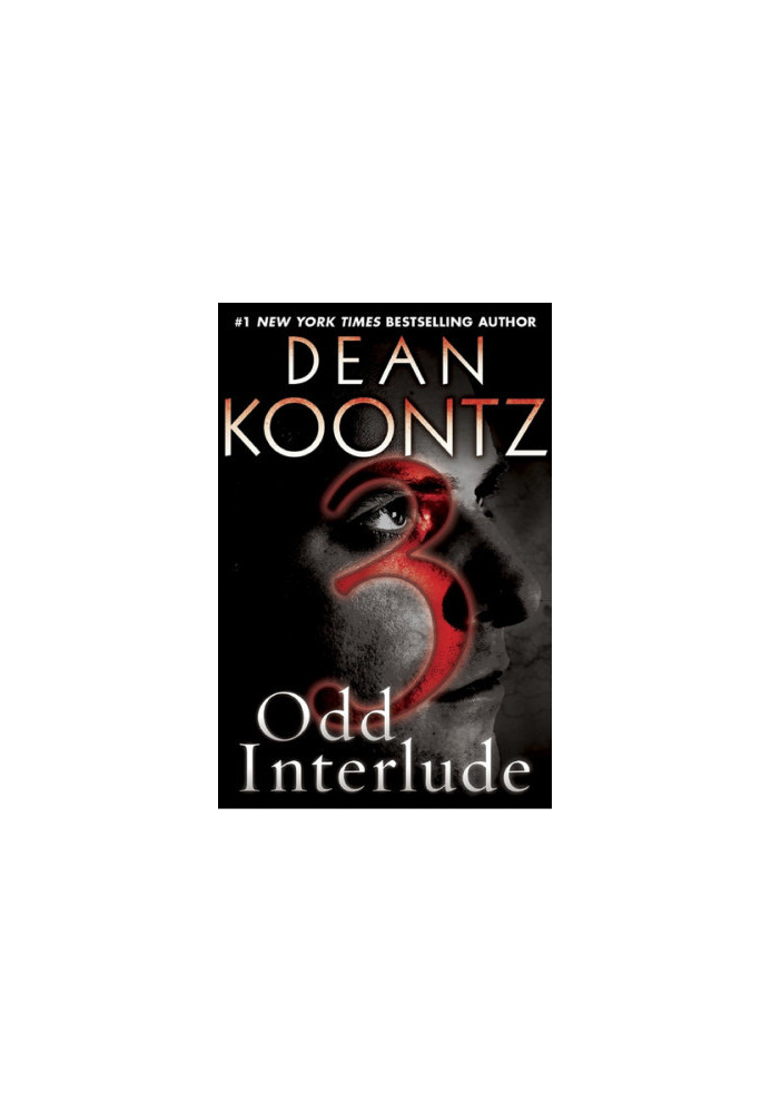 Odd Interlude 3 (An Odd Thomas Story)