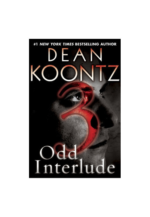 Odd Interlude 3 (An Odd Thomas Story)