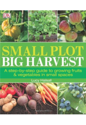 Small Plot, Big Harvest