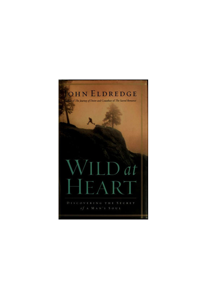 Wild at heart · discovering the secret of a man's soul