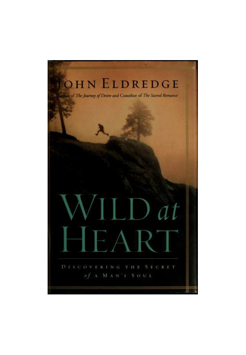 Wild at heart · discovering the secret of a man's soul