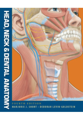 Head, Neck and Dental Anatomy