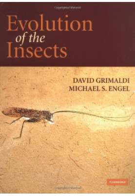 Evolution of the Insects
