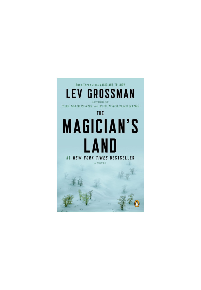 The Magician's Land