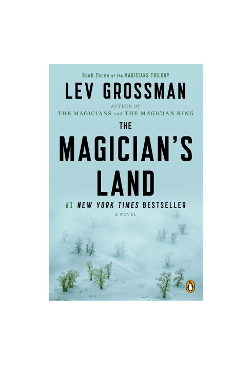 The Magician's Land
