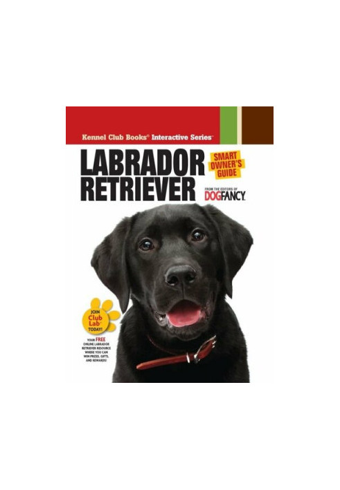 Labrador Retriever