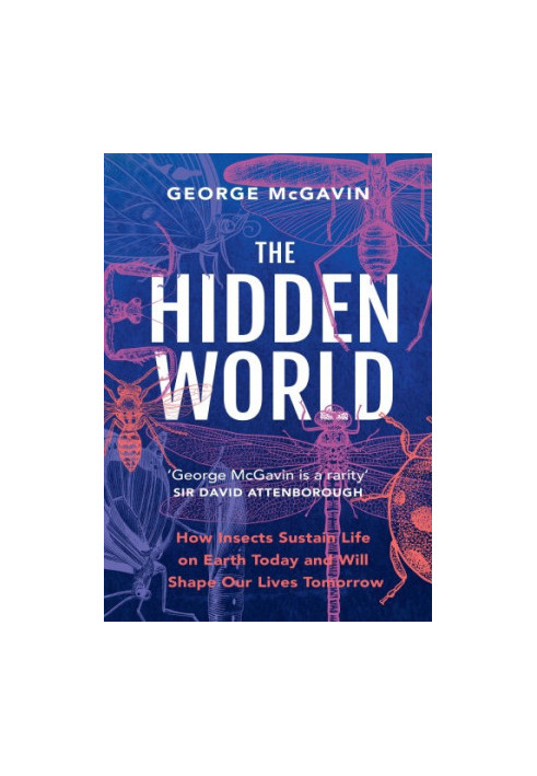 The Hidden World: How Insects Sustain Life on Earth Today and Will Shape Our Lives Tomorrow